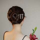 Elegant Silver Tassel Hair Stick