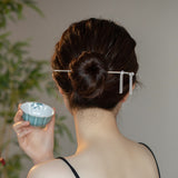 Elegant Silver Tassel Hair Stick