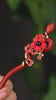 Auspicious Red Snake Hair Stick